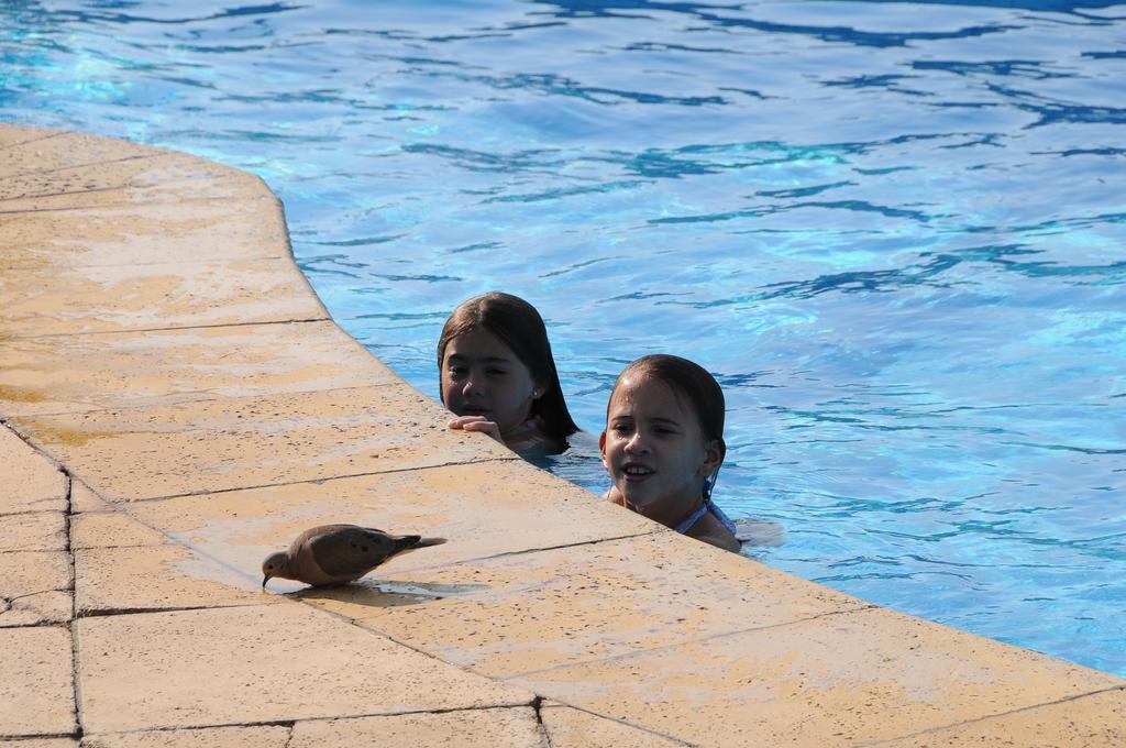 טרמס דל אראפיי Arapey Oasis Termal Hotel מראה חיצוני תמונה