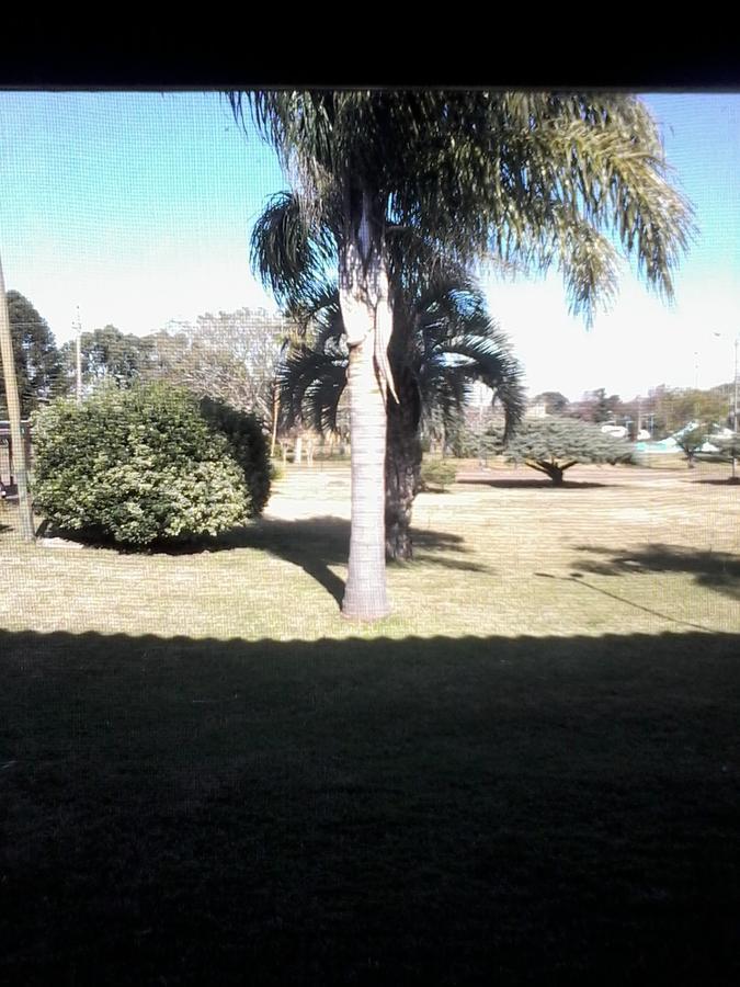 טרמס דל אראפיי Arapey Oasis Termal Hotel מראה חיצוני תמונה